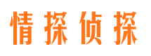 将乐市私人调查